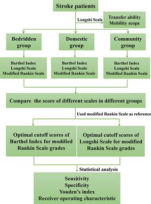 Functional Independence and Disability Evaluation in Stroke Patients: Optimal Cutoff Scores for a Pictorial-Based Longshi Scale, Barthel Index, and Modified Rankin Scale